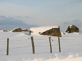 sssne i sk&aring;ne